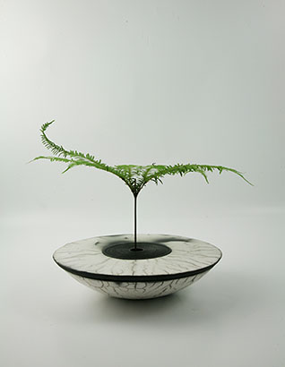 bol et plante