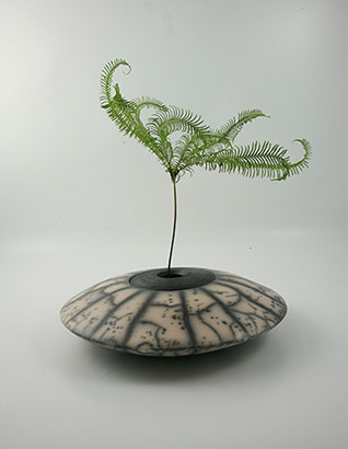 boîte à plante