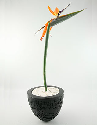 vase sur la pointe